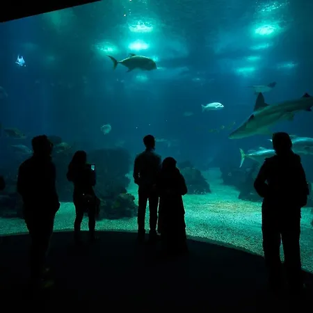 Appartamento Martinhal Oriente *